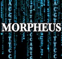 go to Morpheus...
