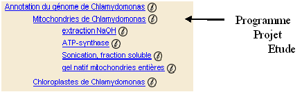 epw_page_organisation.png epw_page_organisation.png