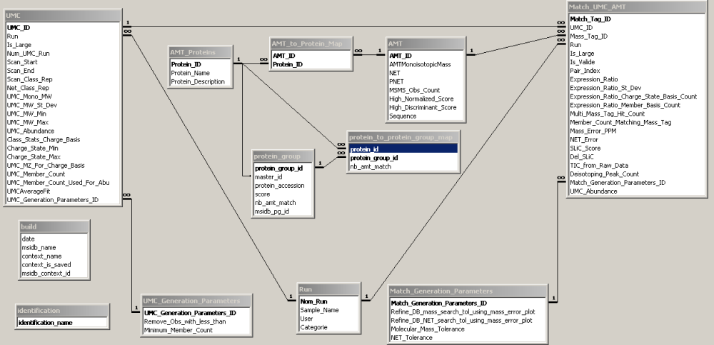 Relationships in the AMT database (MS Access)