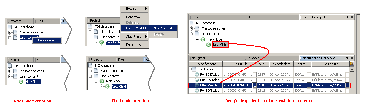 Create a context hierarchy to organize identification results