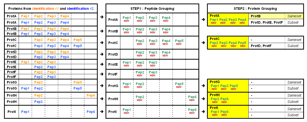  Protein grouping mechanism