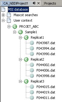Example showing a way to organize identification results