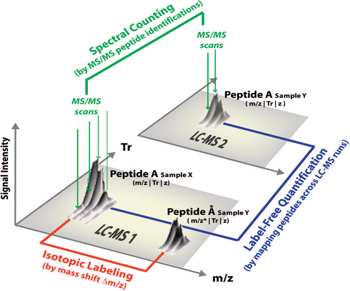 quant_analysis_methods.jpg quant_analysis_methods.jpg