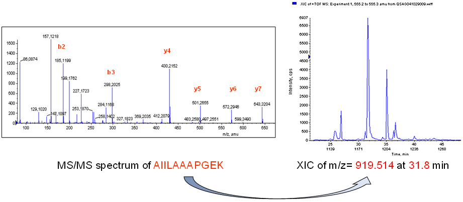 supervised_signal_extraction.jpg supervised_signal_extraction.jpg