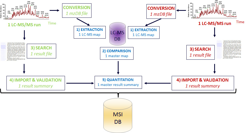 label_free_quant_rsm.jpg label_free_quant_rsm.jpg